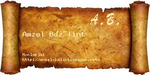Amzel Bálint névjegykártya